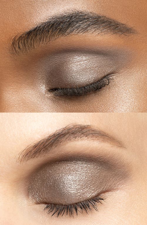 Shop Chantecaille Silver Willow Eyeshadow Duet In Graphite