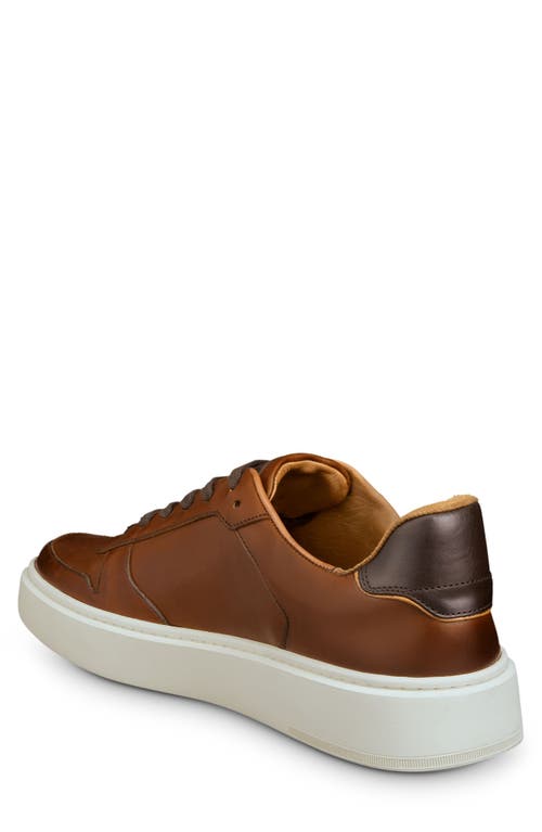 Allen Edmonds Men's Owen Leather Low-top Sneakers In Chili