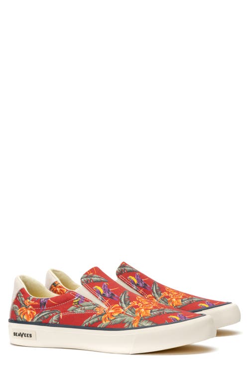 SeaVees Hawthorne Magnum Slip-On Sneaker in Red Jungle Bird at Nordstrom, Size 8