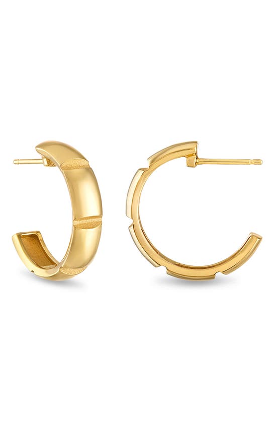 Shop Pamela Zamore Veda Large Hoop Earrings In Gold
