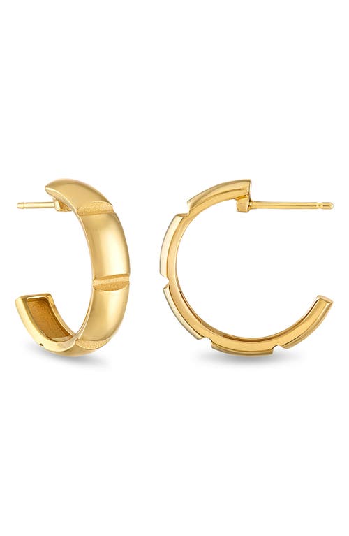 Veda Large Hoop Earrings in Gold
