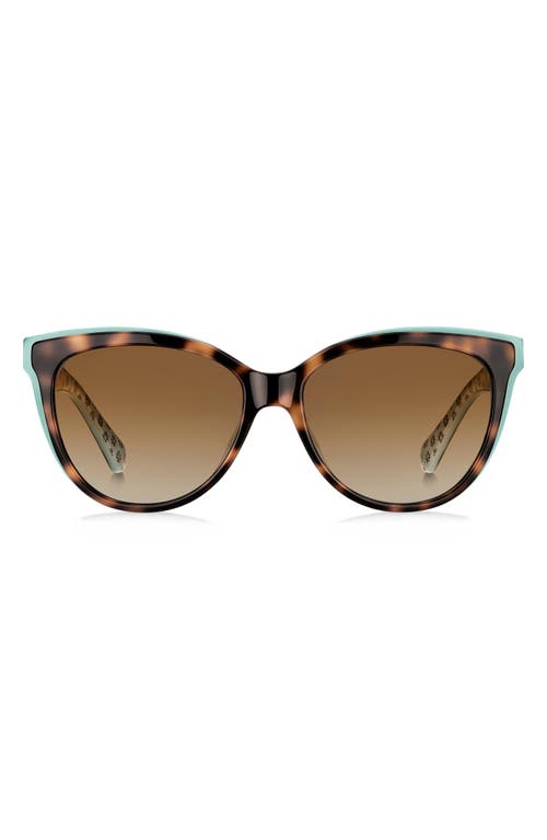 Kate Spade New York daeshas 56mm polarized cat eye sunglasses in Havana/Green/Brown at Nordstrom