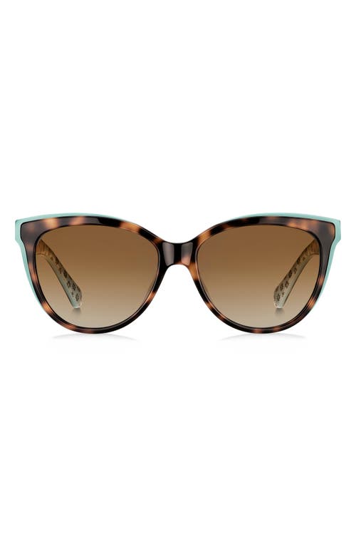 Kate Spade New York Daeshas 56mm Polarized Cat Eye Sunglasses In Havana/green/brown