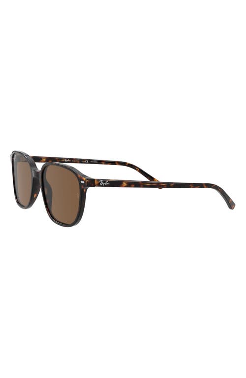 Ray Ban Leonard Sunglasses Tortoise Frame Brown Lenses Polarized 53-18 In Havana/brown