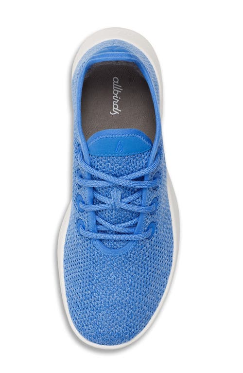 ALLBIRDS ALLBIRDS TREE RUNNER SNEAKER