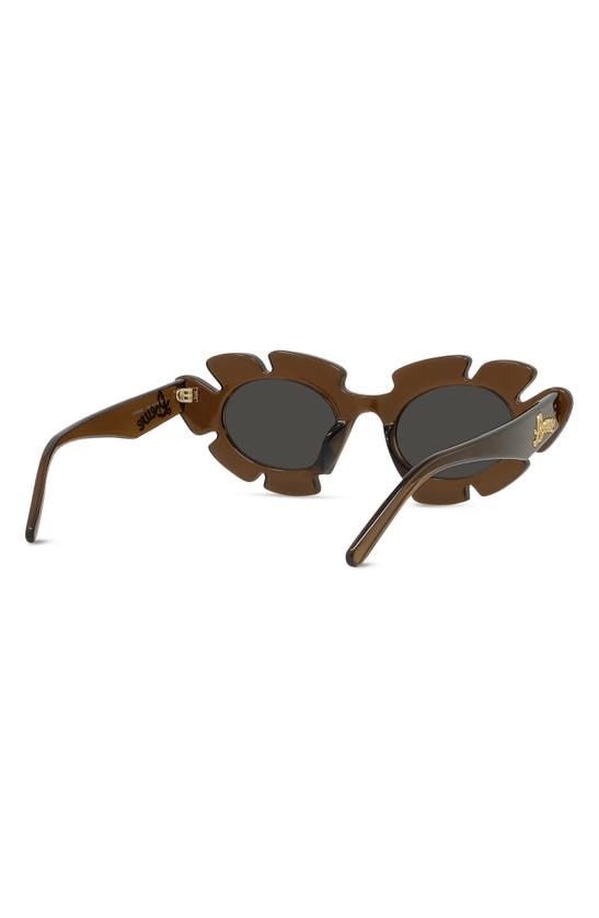Shop Loewe X Paula's Ibiza 47mm Cat Eye Sunglasses In Light Brown/ Other / Smoke