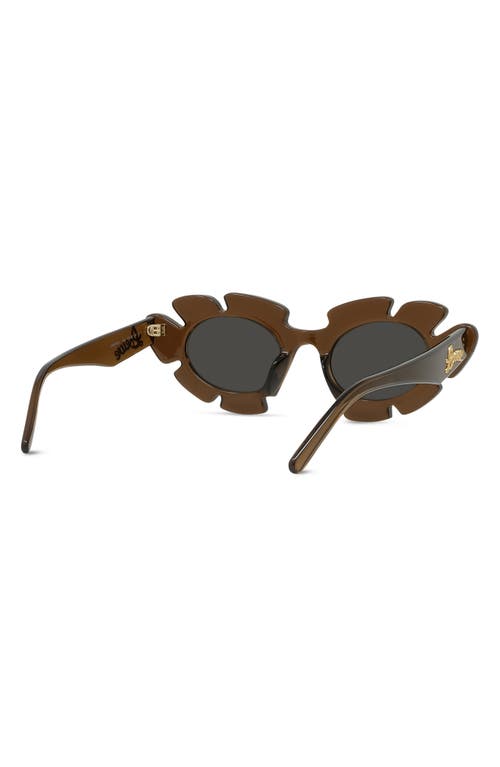 Shop Loewe X Paula's Ibiza 47mm Cat Eye Sunglasses In Light Brown/other/smoke