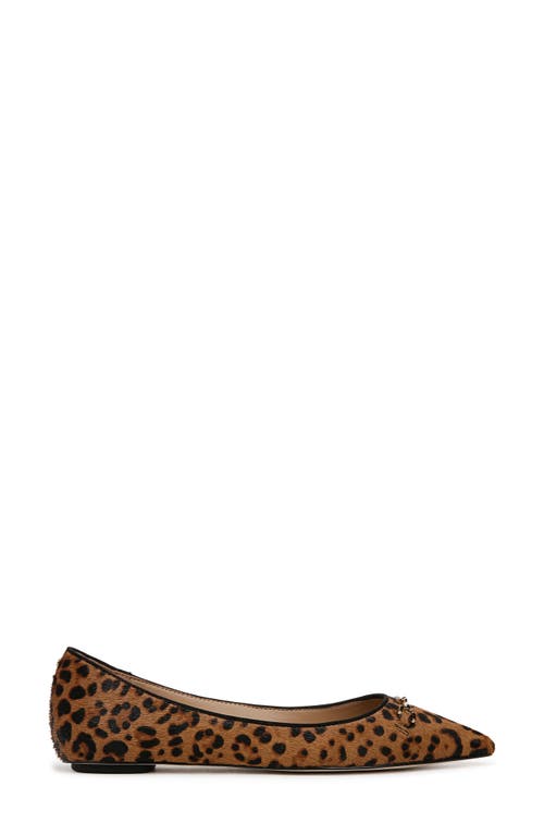 Shop Sam Edelman Nori Pointed Toe Flat In Granada Tan