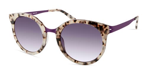 Modo 456 Sunglasses In Milky Tortoise