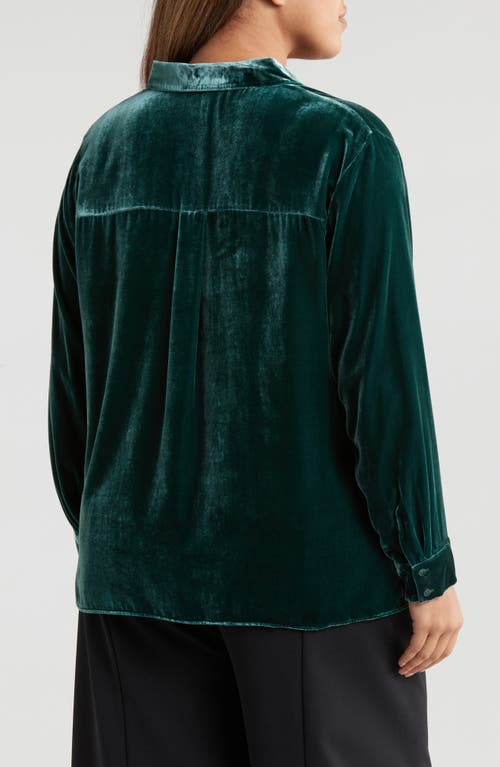 Shop Eileen Fisher Easy Relaxed Fit Velvet Button-up Shirt In Pine