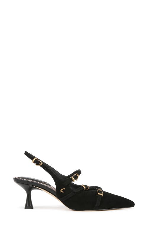 Shop Circus Ny By Sam Edelman Fraya Slingback Pointed Toe Pump In Black Suede