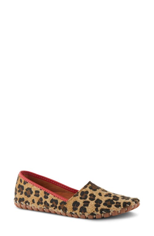 Spring Step Kathaleta Flat In Leopard Print