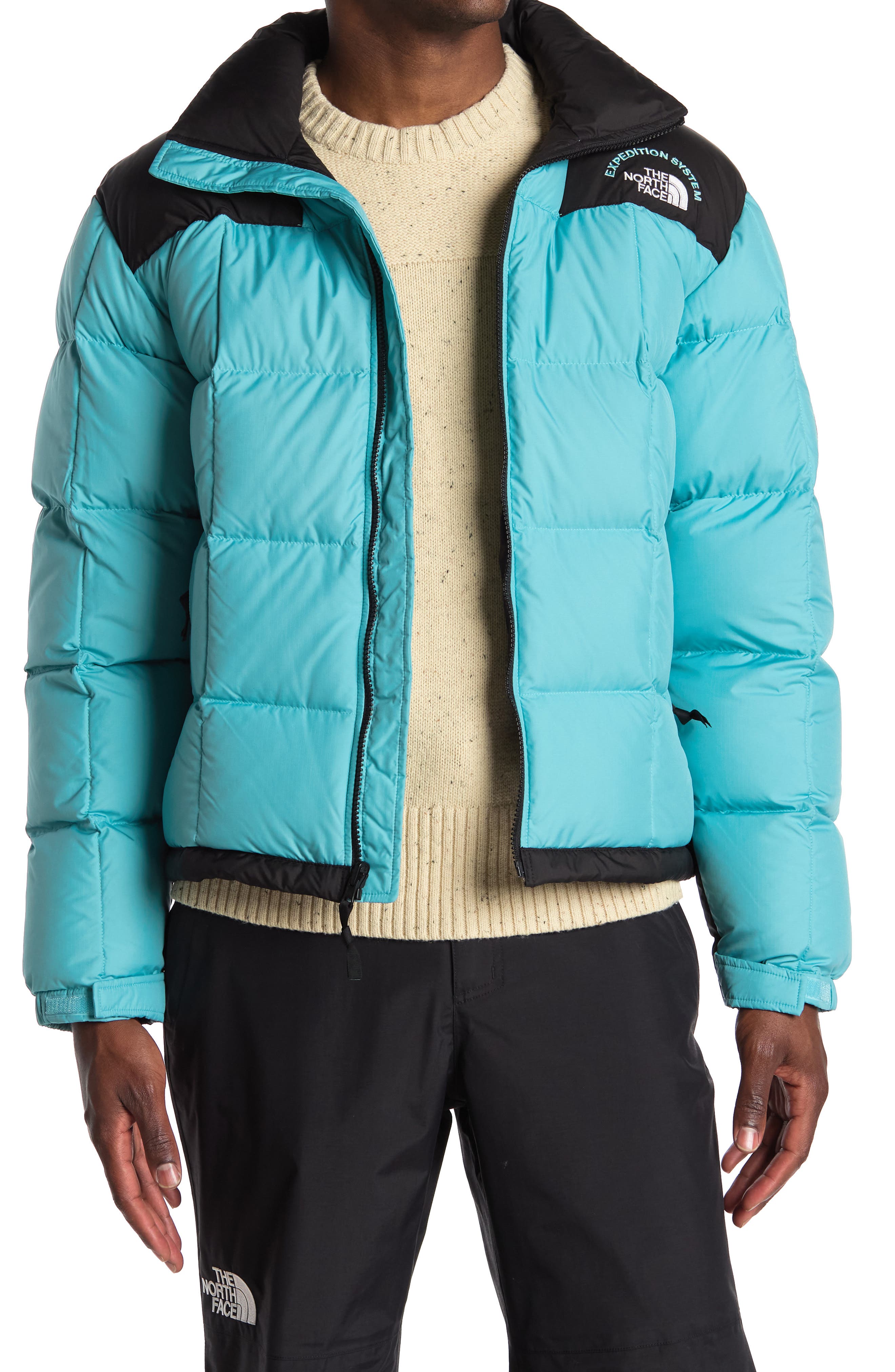 north face puffer jacket nordstrom rack