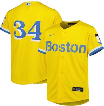 Nike Youth Nike David Ortiz Gold Boston Red Sox City Connect Replica Player  Jersey
