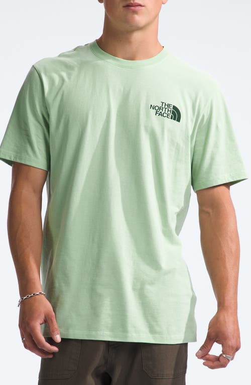 The North Face Places We Love Graphic T-shirt In Misty Sage/pine Needle