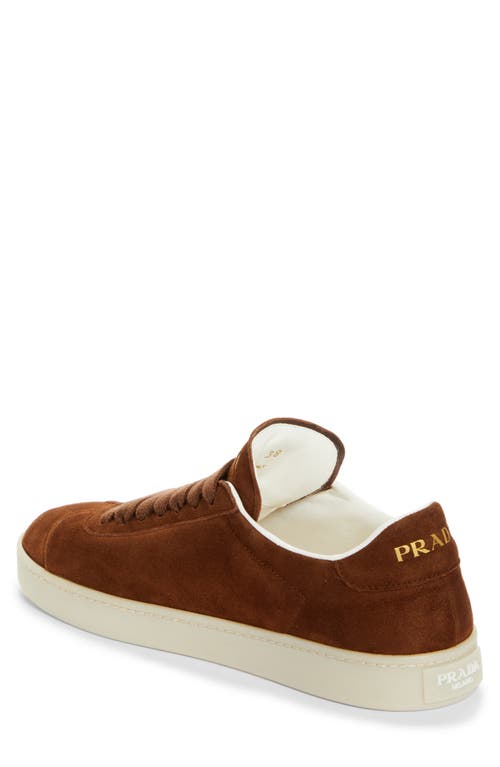 Prada Lane Triangle Logo Low Top Sneaker In Rovere