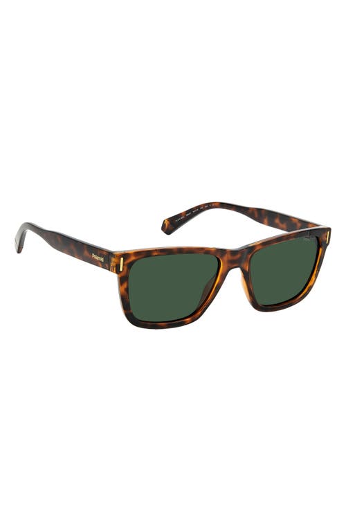 Polaroid 54mm Polarized Square Sunglasse In Havana/green Polar