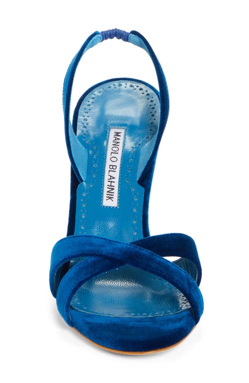 Shop Manolo Blahnik Callasli Sandal In Cobalt Blue Velvet