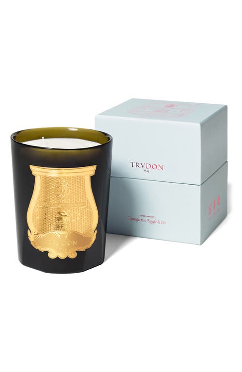 Trudon Ernesto Leather And Tobacco Candle In No Color