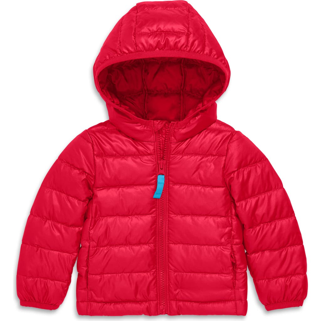 Shop Primary Baby Lightweight Puffer Jacket In Cherry
