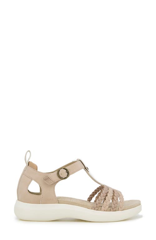 Jbu By Jambu Prague Sandal In Light Tan/champagne