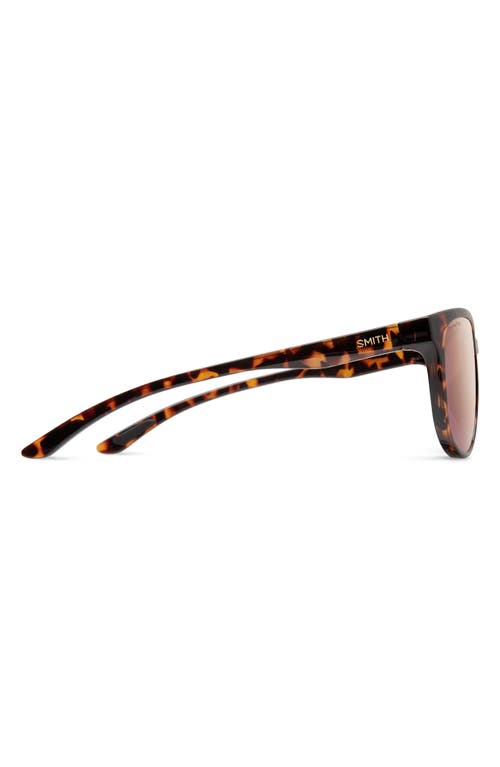 Shop Smith Lake Shasta 56mm Chromapop™ Polarized Sunglasses In Tortoise/rose Gold Mirror