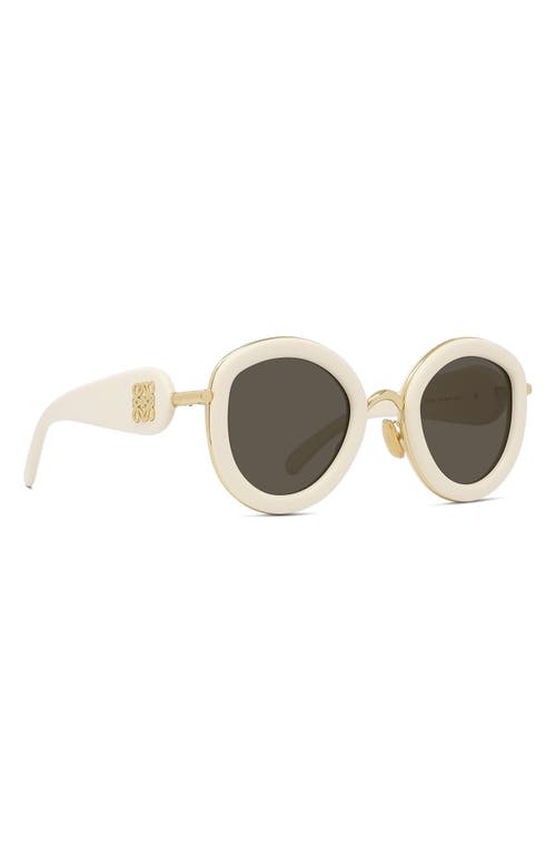 Shop Loewe 49mm Small Round Sunglasses In Ivory/brown