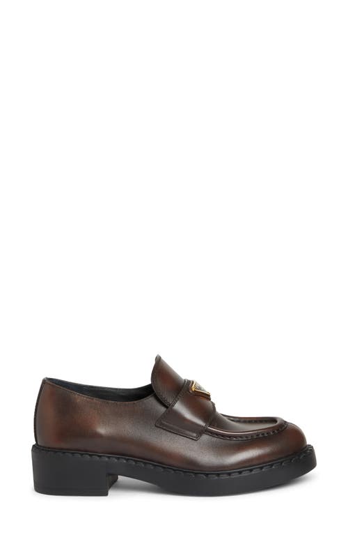 Shop Prada Moc Toe Loafer In Moro