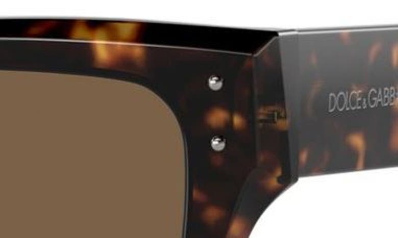 Dolce & Gabbana 52mm Square Sunglasses In Havana