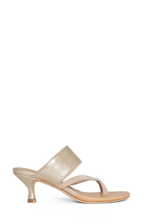 Donald Pliner Louka Sandal In Sand/plati