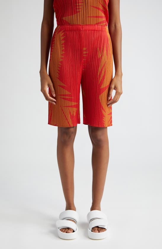 Shop Issey Miyake Pleats Please  Piquant Print Pleated Shorts In Brown Chile