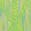 selected Kiwi color