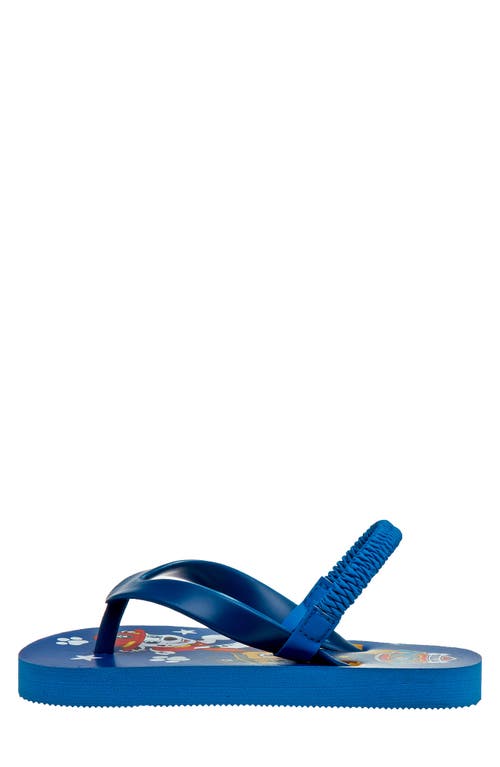 Shop Josmo Paw Patrol Flip-flop Sandal In Navy/blue