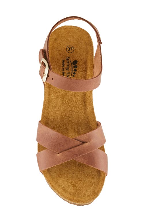 Spring Step Burton Ankle Strap Platform Wedge Sandal In Brown
