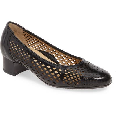 Ara Venetia Perforated Pump, Black