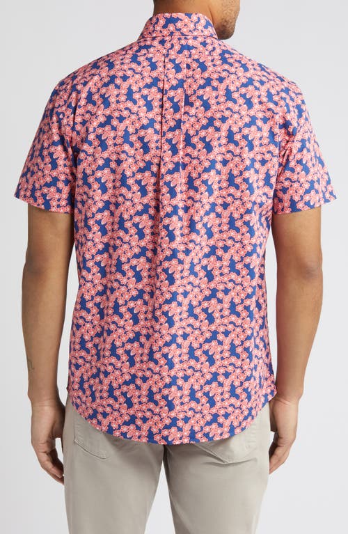 Shop Brooks Brothers Regular Fit Floral Short Sleeve Button-up Shirt In Navy Red Floral