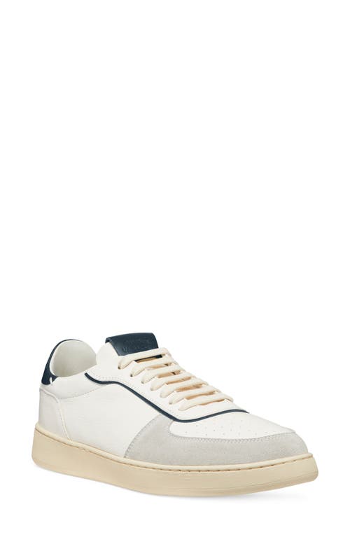 Shop Stuart Weitzman Sw Courtside Sneaker In Light Grey/white/nice Blue