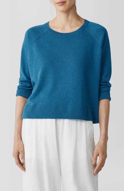 Eileen Fisher Raglan Sleeve Boxy Organic Linen & Cotton Sweater Cascade at Nordstrom,