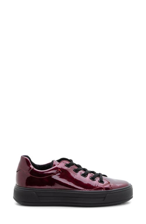 Ara Crystal Platform Sneaker In Chilli
