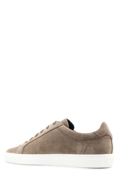 Blake Mckay Jay Low Top Sneaker In Cafe Suede