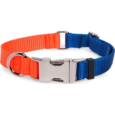 Ware Of The Dog Two-Tone Nylon Dog Collar, Blue