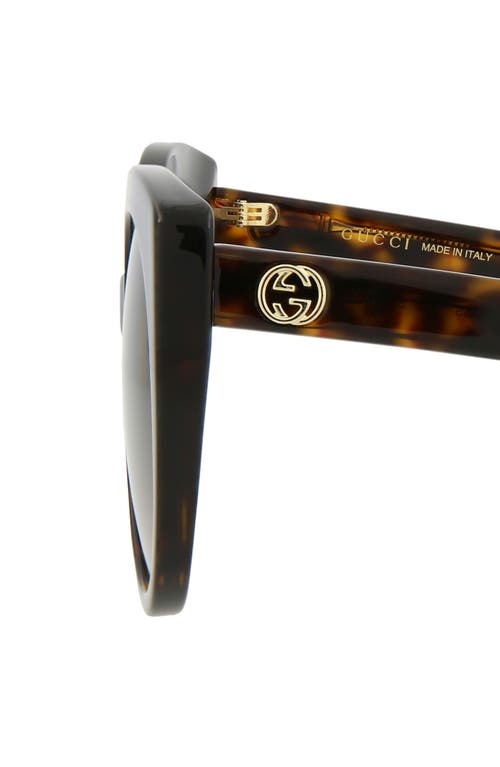 Gucci 55mm Gradient Cat Eye Sunglasses In Havana Havana Brown