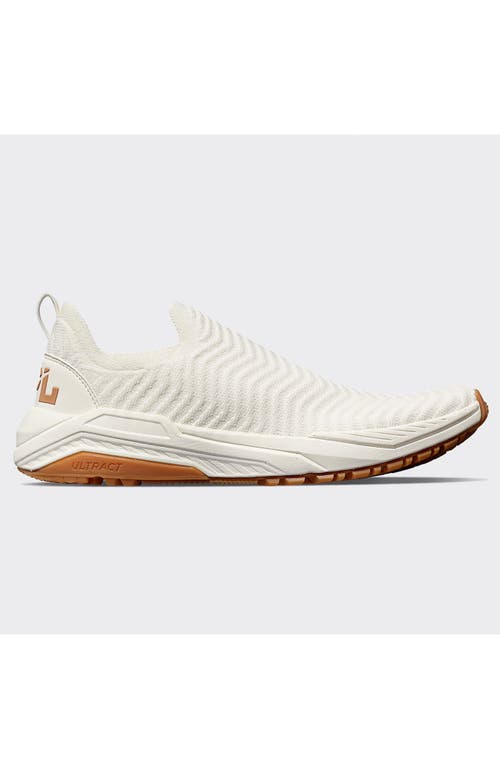 Apl Athletic Propulsion Labs Techloom Traveler Slip-ons In Brown