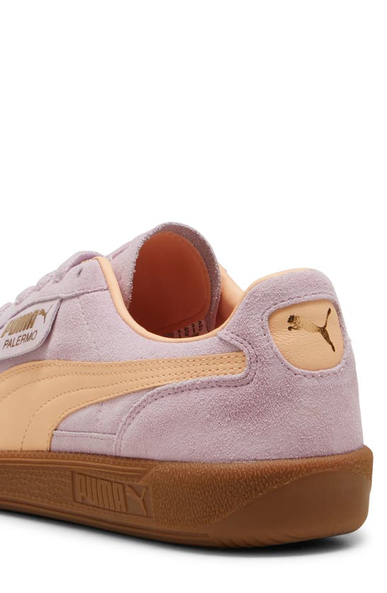 Puma Palermo Sneaker In Grape Mist-peach Fizz
