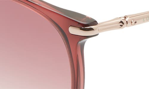 Shop Longchamp Roseau 54mm Round Sunglasses In Ruby/brown