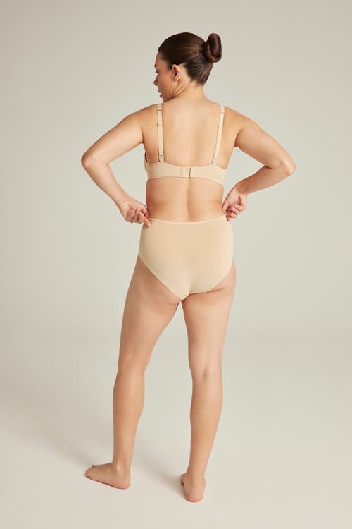 Nudea The Stretch High Waisted Brief In Bare01