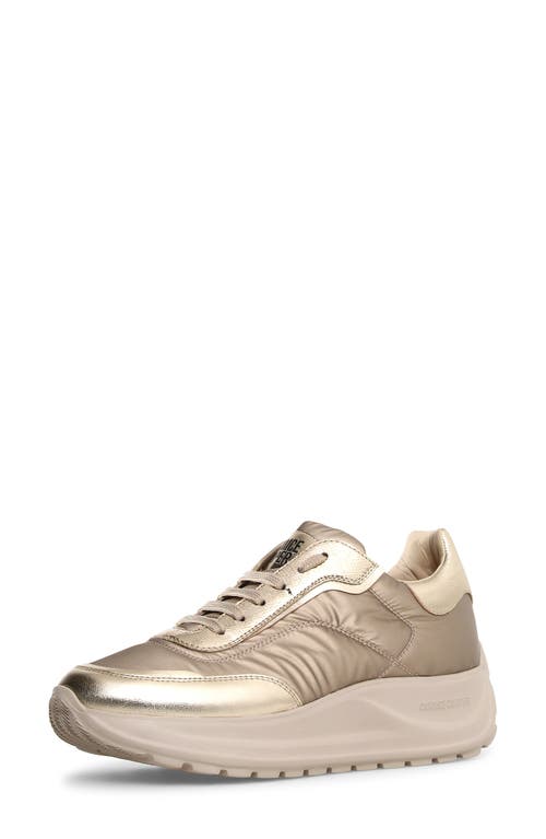 Shop Candice Cooper Spark Platform Sneaker In Platinum