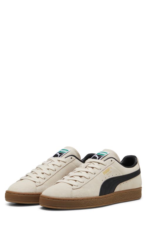 Shop Puma Suede Terrace Sneaker In Alpine Snow-gum