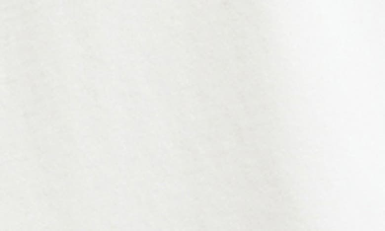 Allsaints Mens Ashen White Orlando Logo-print Relaxed-fit Organic-cotton T-shirt In Ashen White