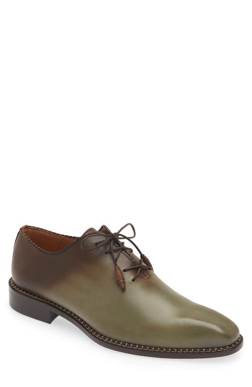 Shop Mezlan Barbaro Oxford In Olive/mocha